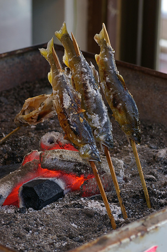 IMGP8350