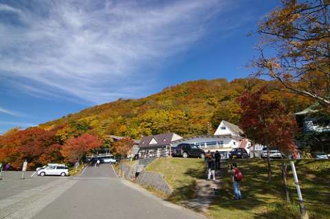 IMGP8539