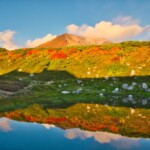 【北海道紅葉】2025年最新！北海道秋季行程全攻略：楓葉、銀杏、波斯菊、掃帚草必去景點精選