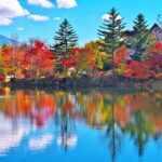 【日本楓葉】日本經典賞楓10大景點推薦！永久收藏版