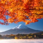 【日本紅葉】2025最新版！日本全國最佳賞楓時間、必去紅葉景點懶人包