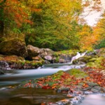 【熊本楓葉】2025年最新！台灣直飛熊本賞紅葉！秋天熊本自由行絕美紅葉景點推薦