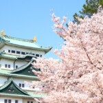 【名古屋櫻花】2026年最新！愛知縣名古屋10大必去賞櫻名所！最佳賞櫻時間、人氣景點總整理