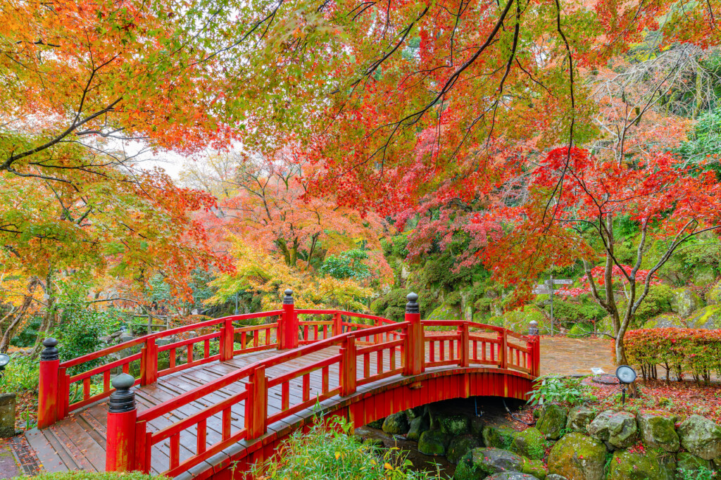 熱海景點｜熱海梅園