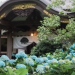 【秋田景點】雲昌寺繡球花2026最新資訊！男鹿市藍色繡球花海最佳賞花期、交通與看點整理