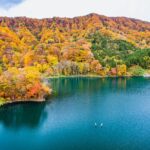 【青森】日本東北紅葉季必去「白神山地」賞楓攻略！十二湖健行路線、海景溫泉一日遊