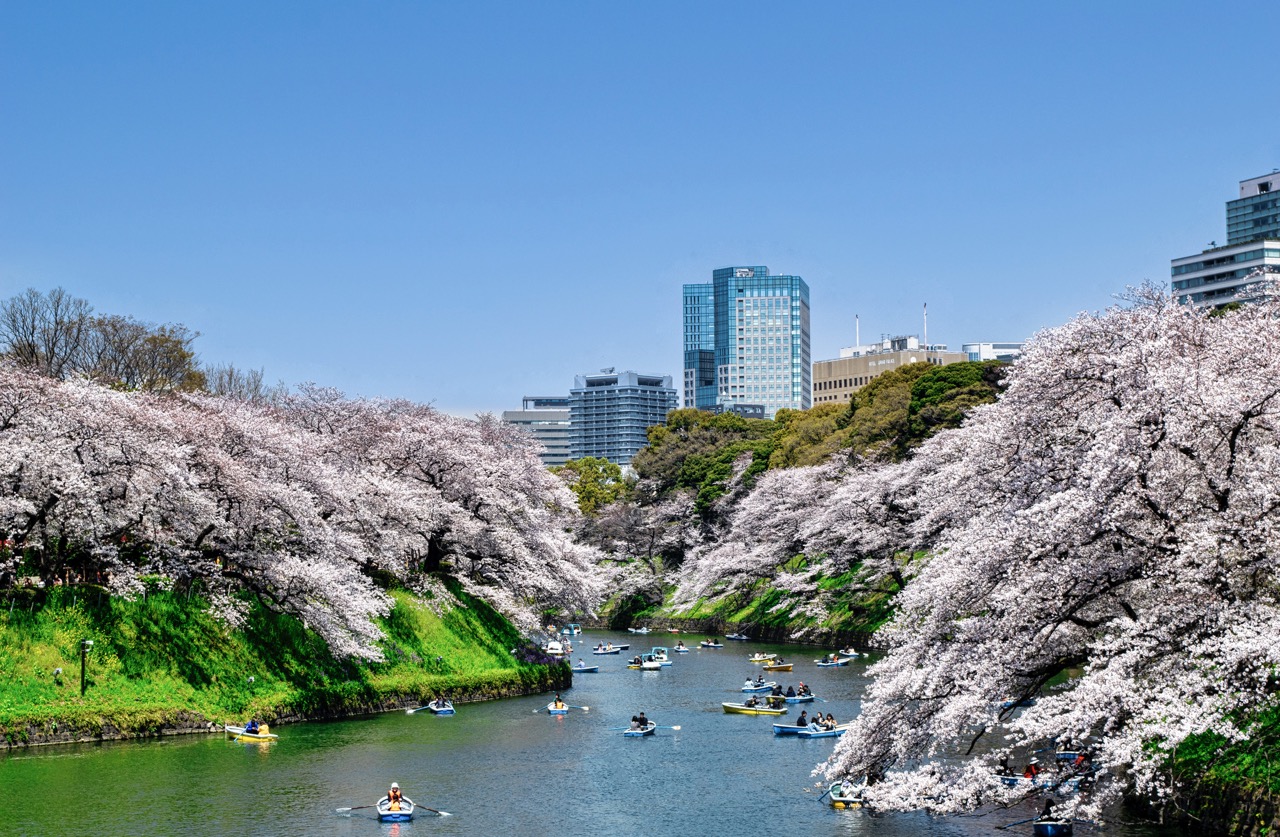 【皇居參觀全攻略】交通方式、必買伴手禮、周邊人氣景點一次看懂!東京一日遊必去指南 | 步步日本