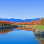 【北海道函館賞楓】2025年最新！函館楓葉景點7大推薦！找尋秋天旅行最美的顏色