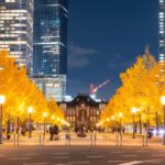 【2026 東京銀杏】10 大銀杏景點＆最佳觀賞時間！明治神宮外苑、東京大學、昭和紀念公園秋天必去