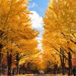 【2026 北海道紅葉】北海道賞楓景點推薦！札幌、函館、美瑛、知床秋季必去景點