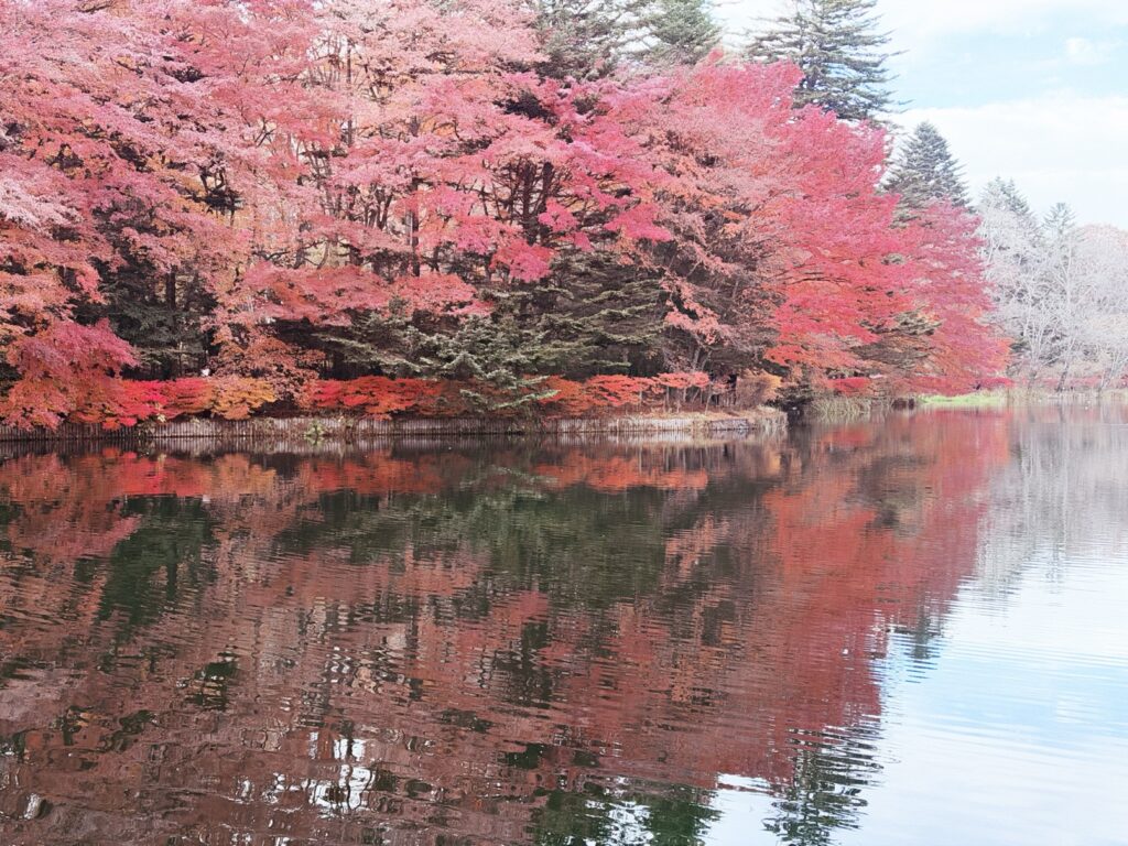 【輕井澤紅葉必去景點】雲場池、中輕井澤賞楓、榆樹街小鎮散策！輕井澤一日遊推薦
