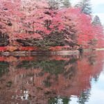 【輕井澤紅葉必去景點】雲場池、中輕井澤賞楓、榆樹街小鎮散策｜輕井澤一日遊推薦