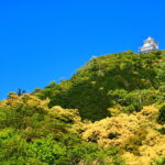 【岐阜自駕遊】岐阜市漫遊記：在長良川畔，尋訪織田信長的古城與舊時光