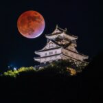 【深度岐阜】岐阜市魅力再發現！長良川SUP、花火大會、岐阜城樂市等10大景點、美食、體驗精選