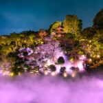【東京賞櫻新體驗】椿山莊夜櫻雲海2026登場：櫻色雲霧籠罩庭園，春夜限定夢幻演出