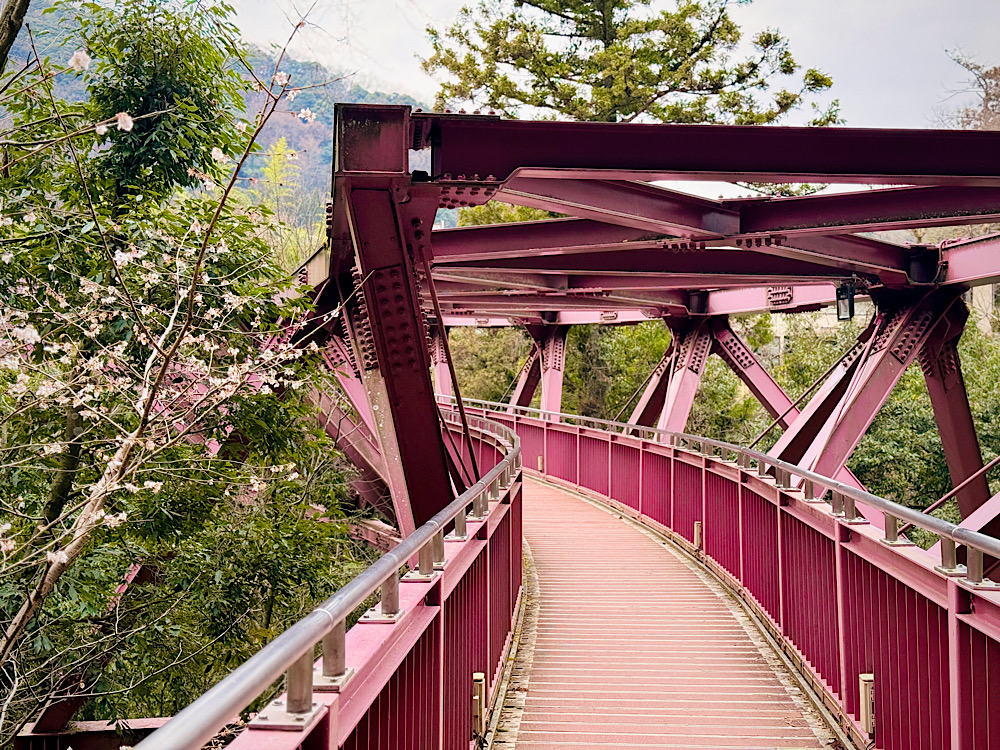 石川縣加賀 山中溫泉 鶴仙溪遊步道 翻花繩橋