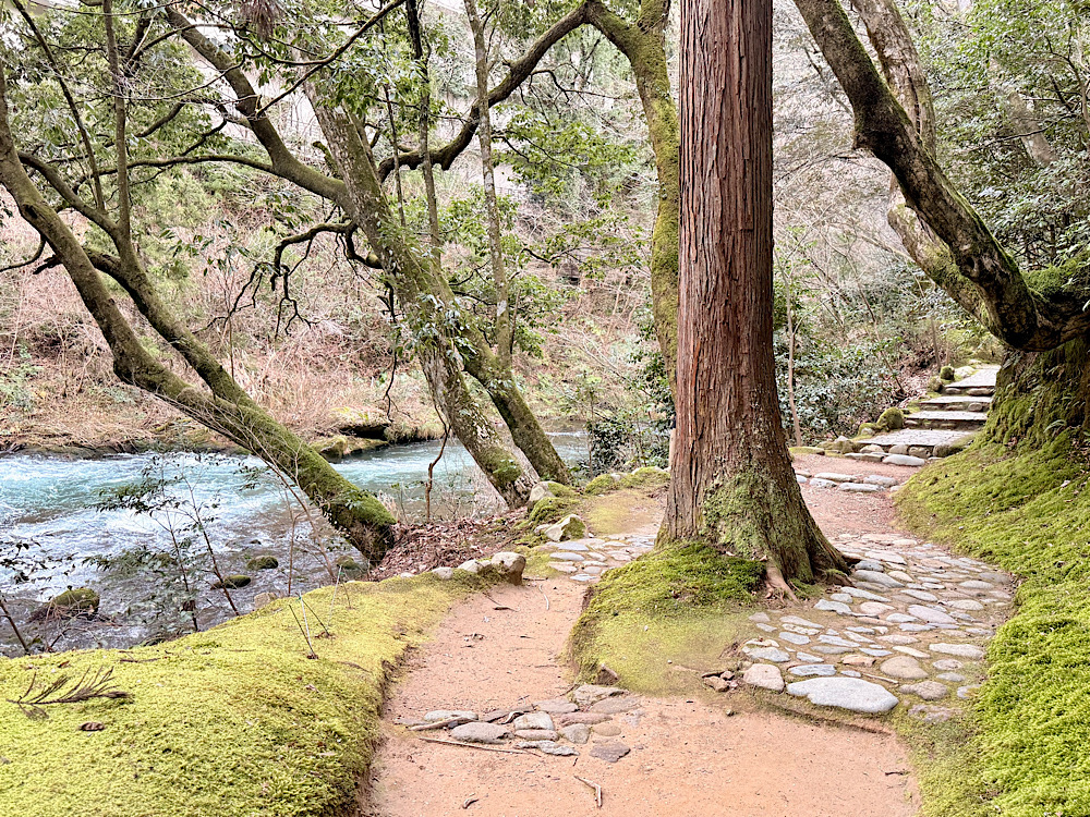 石川縣加賀 山中溫泉 鶴仙溪遊步道