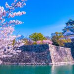 【大阪櫻花】2026年最新！大阪賞櫻攻略：10大必去櫻花名所＋最佳賞櫻時間預測