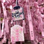 【東京神社】早春賞櫻秘境！浪漫「櫻神宮」完整攻略：人氣蕾絲御守、御朱印、賞粉色河津櫻