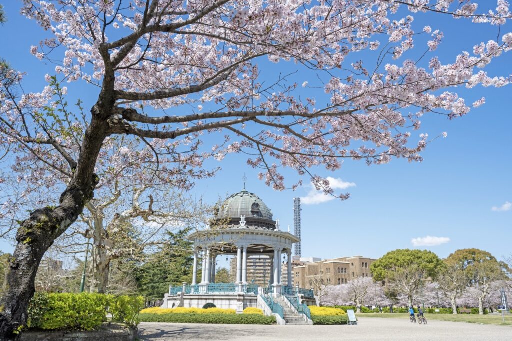 【鶴舞公園】名古屋賞櫻首選「鶴舞公園」！百年公園裡關於春天的櫻花儀式
