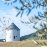 【香川小豆島】漫步日本香川橄欖之島「小豆島」！集結療癒、美味與養身的慢遊指南