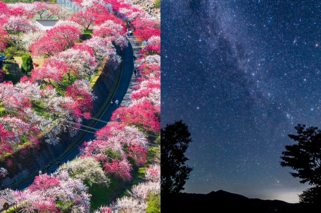 【長野阿智村】走進「日本第一桃源郷」與「日本第一星空」！花桃祭2026、天空樂園星空觀賞、晝神溫泉、交通方式完整攻略