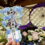 【東京法輪寺】限定御朱印＆御守收藏推薦！繡球花、花手水、交通方式與早稻田一日遊散步指南
