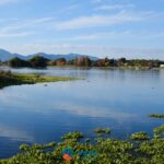 【熊本】水前寺成趣園、江津湖一日遊攻略！熊本市區景點、美食、划船、錢湯散步路線
