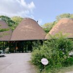 【東京近郊｜那須高原】入住星野 RISONARE 那須  4.2萬坪森林中的自然系度假村
