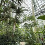 【日潮現場】發現高知，在植物與建築之間：探訪五台山上的「牧野植物園」／吳東龍