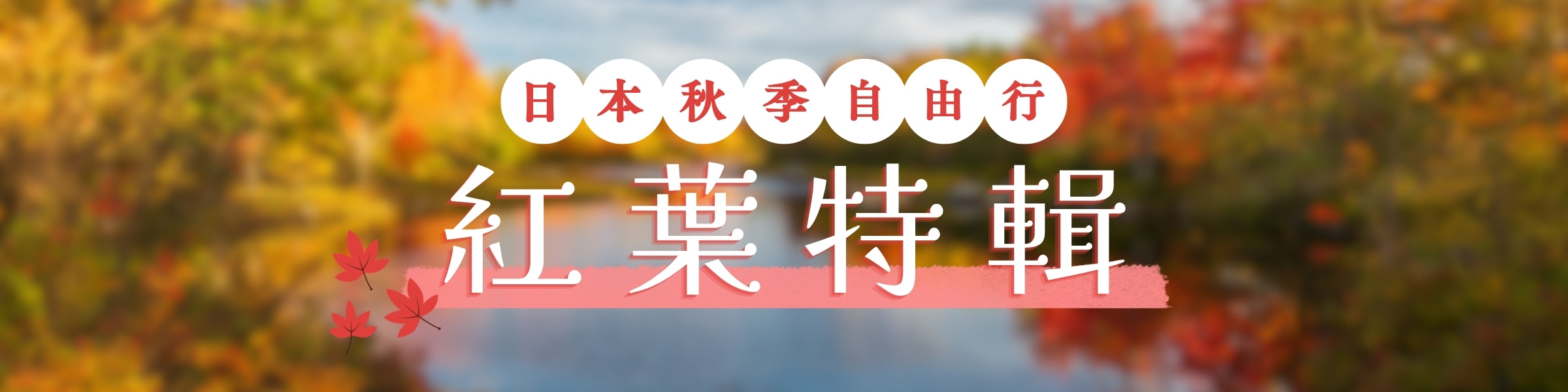 日本紅葉